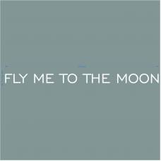 Термотрансфер "Fly me to the Moon" белый